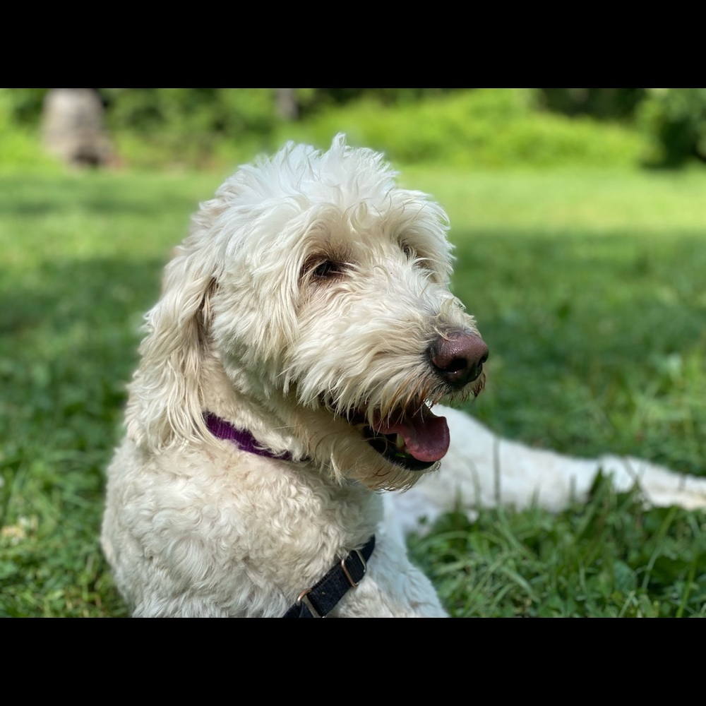 Meet your Posher, Manuela